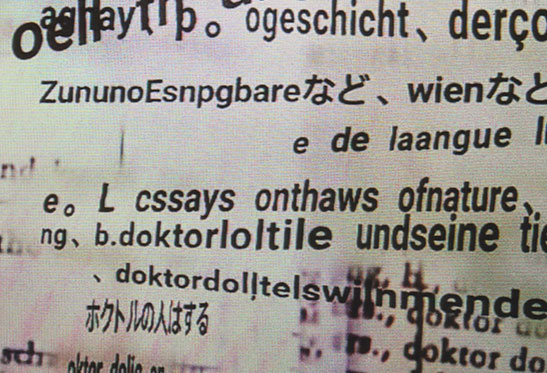 translation screenshot 14 - open larger image